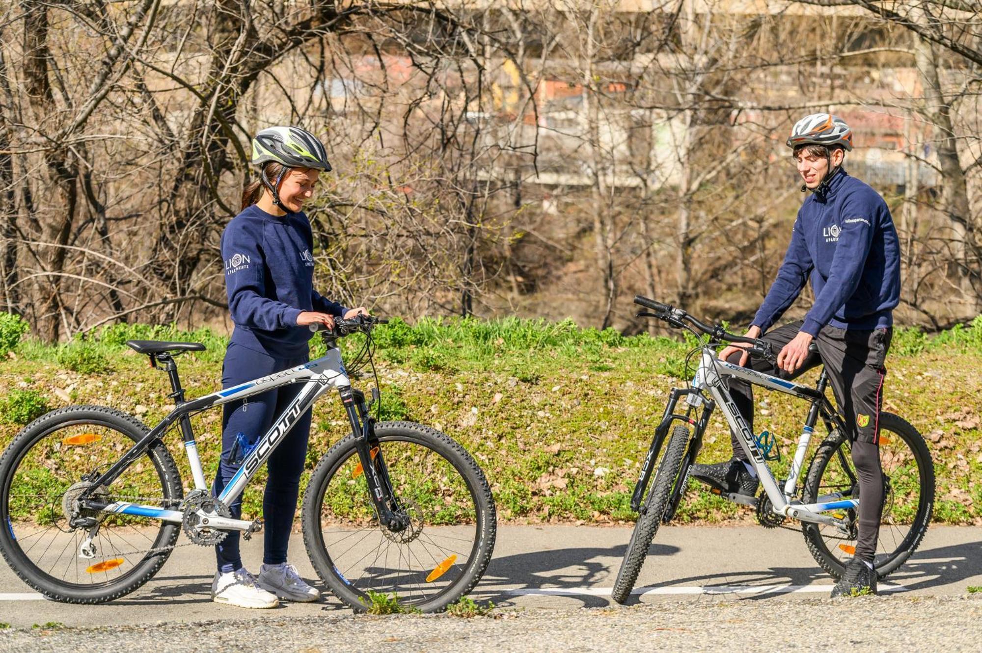 Le Lion Apartments - Bike & Ski 아오스타 외부 사진