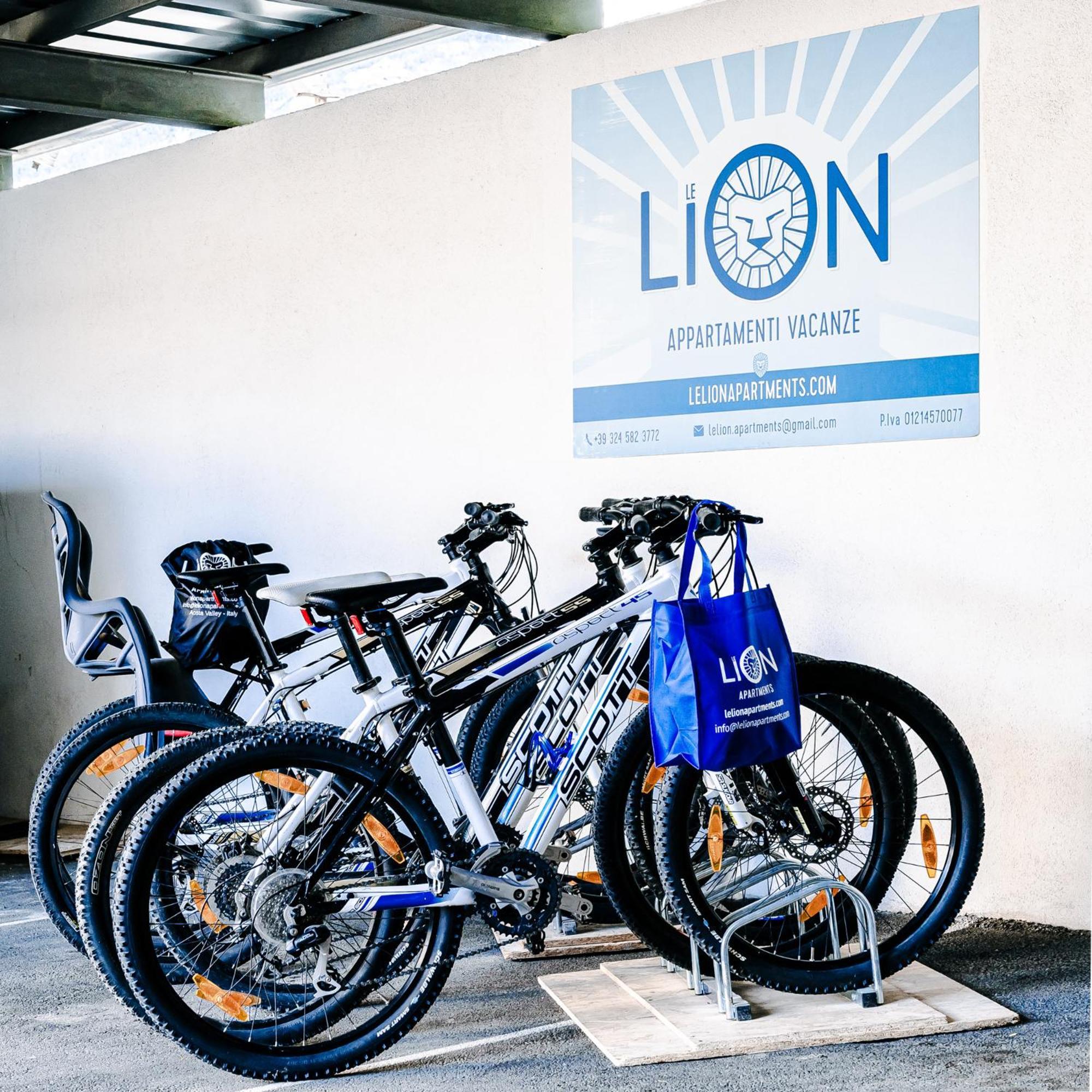 Le Lion Apartments - Bike & Ski 아오스타 외부 사진